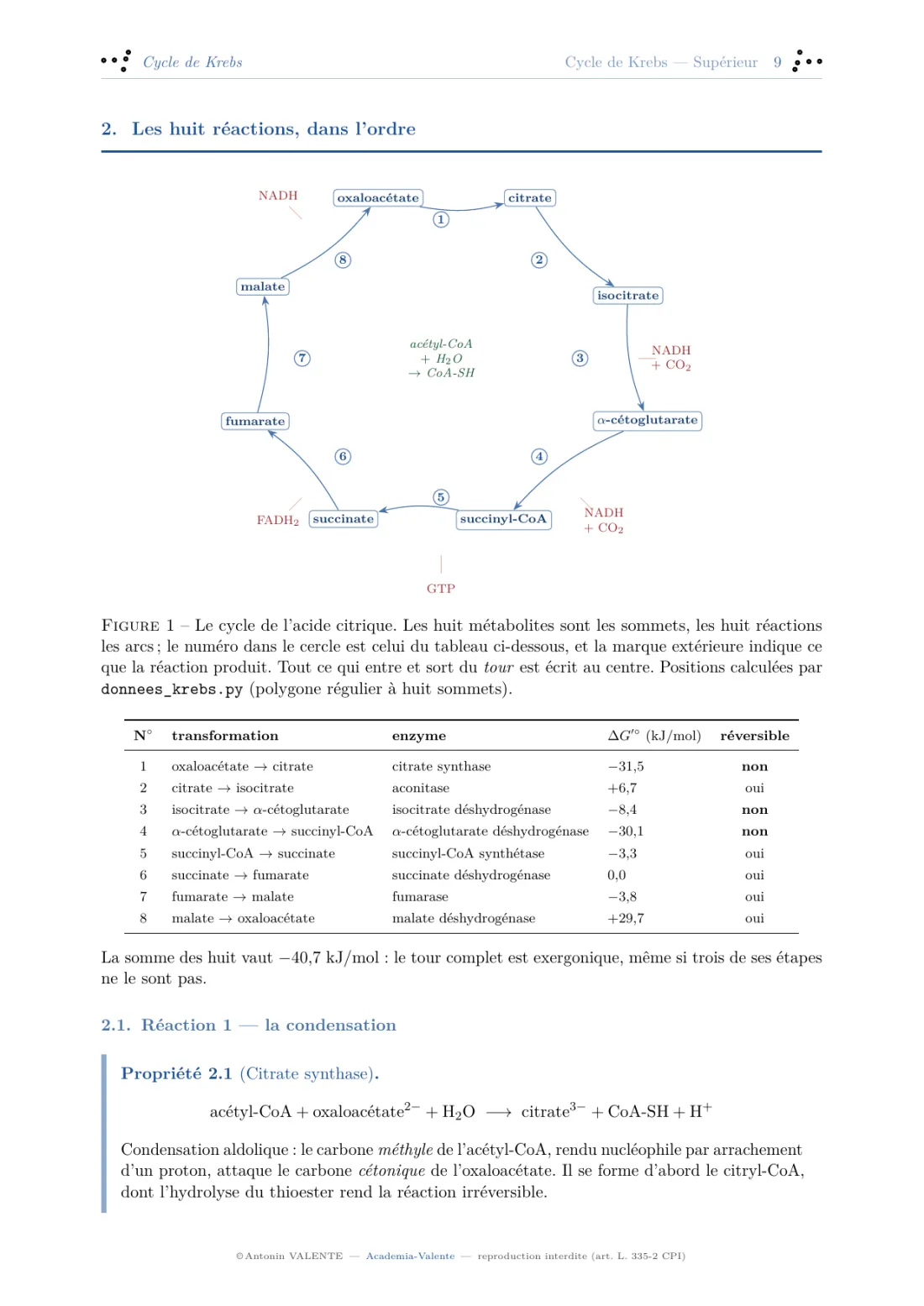 Page du fascicule Le cycle de Krebs : les huit réactions du cycle disposées en circuit