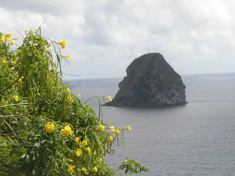 Rocher du Diamant, Martinique